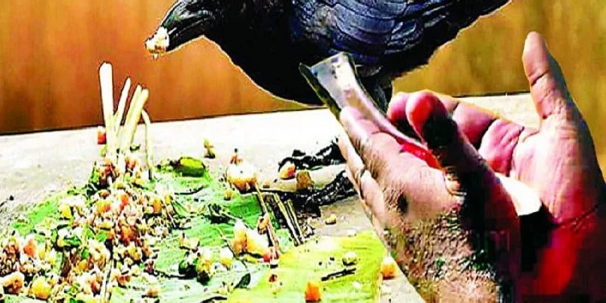 Pitru Paksha 2022: श्राद्ध पक्ष में पितरों को खुश करने के लिए करे ये काम