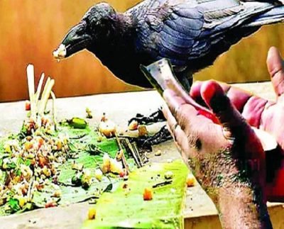 Pitru Paksha 2022: श्राद्ध पक्ष में पितरों को खुश करने के लिए करे ये काम