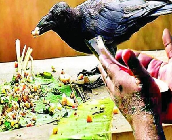 Pitru Paksha 2022: श्राद्ध पक्ष में पितरों को खुश करने के लिए करे ये काम