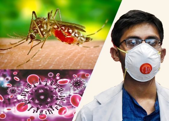 Health Tips: बारिश के समय मच्छरों के काटने से होती हैं ये गंभीर बीमारियां