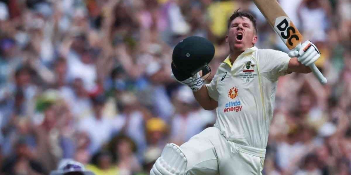 David Warner double century in 100th Test