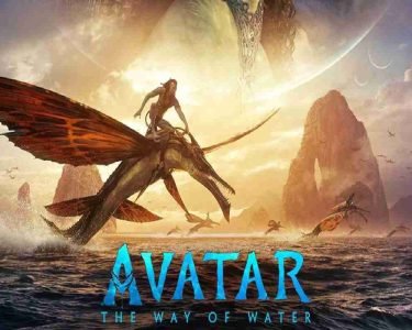 Avatar The Way Of Water Box Office Collection