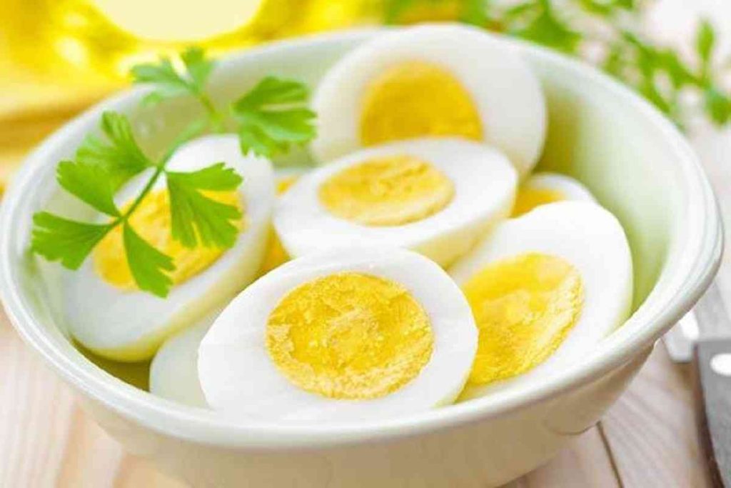 Egg in Winter